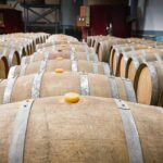 wine barrels in the cellar of the winery