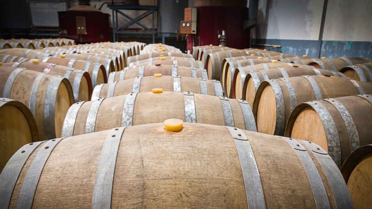 wine barrels in the cellar of the winery