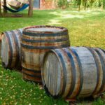 wine barrels in wine vaults in order wine bottle and barrels