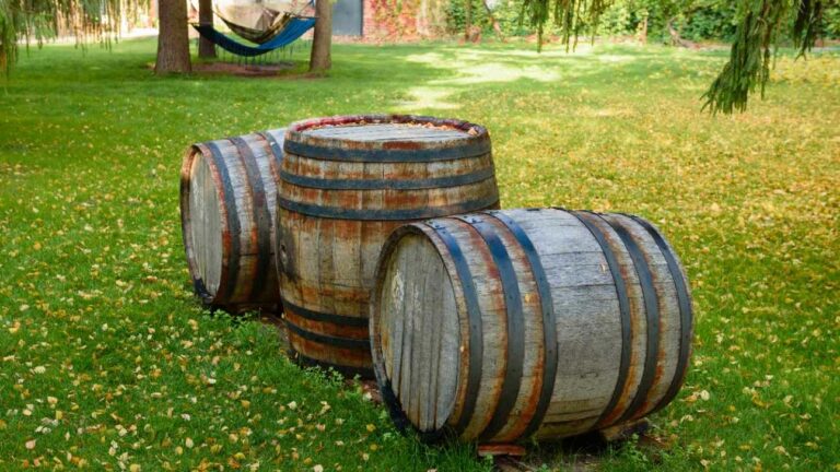 wine barrels in wine vaults in order wine bottle and barrels